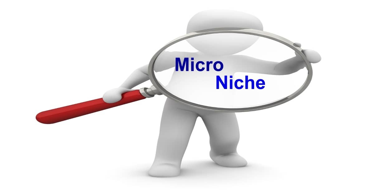 micro niche feature image
